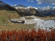 56 Ecco un bel laghetto in avanzato disgelo con pascoli che stanno rinverdendo cosparsi di Crocus vernus 